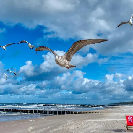 304 Z Widokiem Na Morze, Z Basenem, Sauna, Jacuzzi, Przy Samej Plazy - 5d * Niechorze