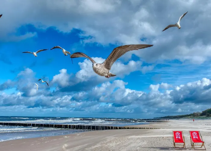 304 Z Widokiem Na Morze, Z Basenem, Sauna, Jacuzzi, Przy Samej Plazy - 5d * Niechorze